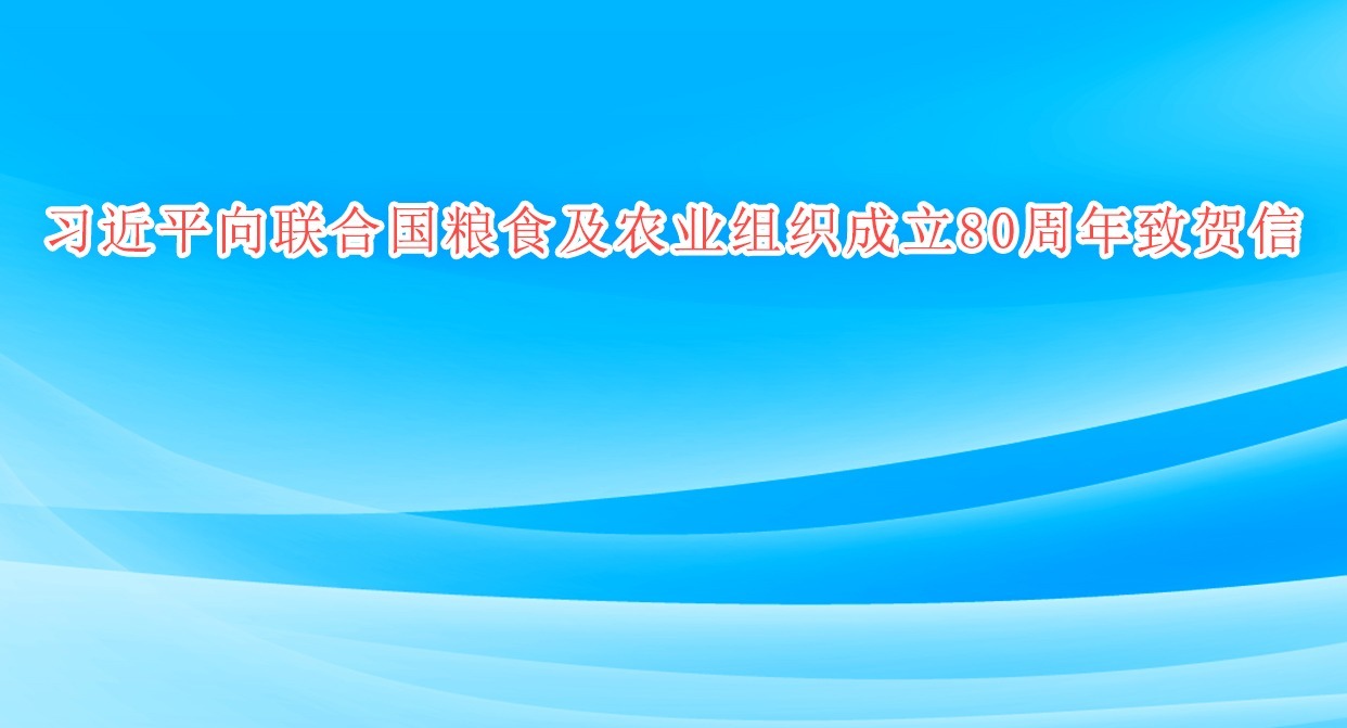 W020251016697420939515.png